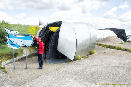 Entrance into a whale